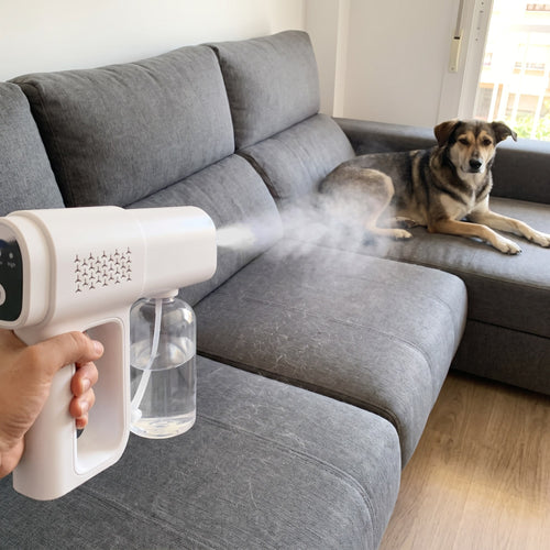 Nebulizando el sofá con el perro al lado